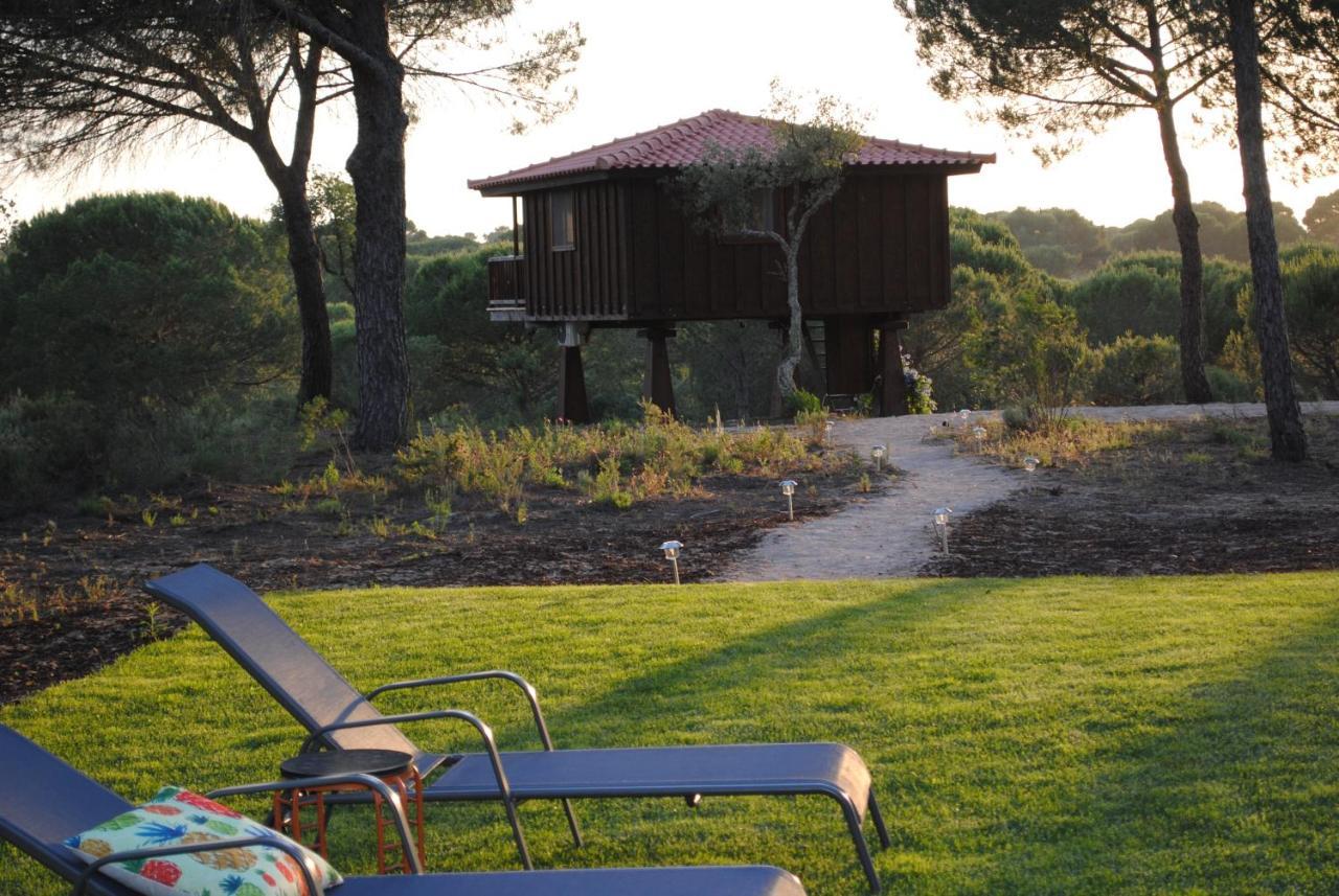 Deluxe Bungalow with Garden View,1033298768:JPEG