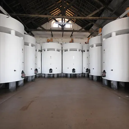 Quinta Do Piloto-3