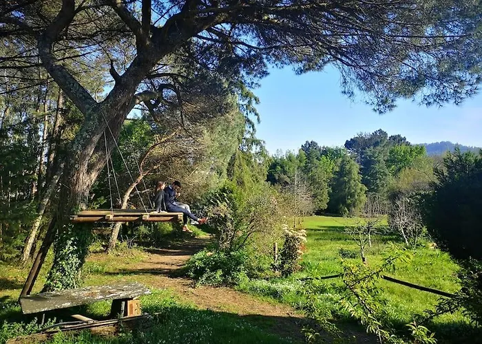 Pine Lodge - Direct Train To Porto
