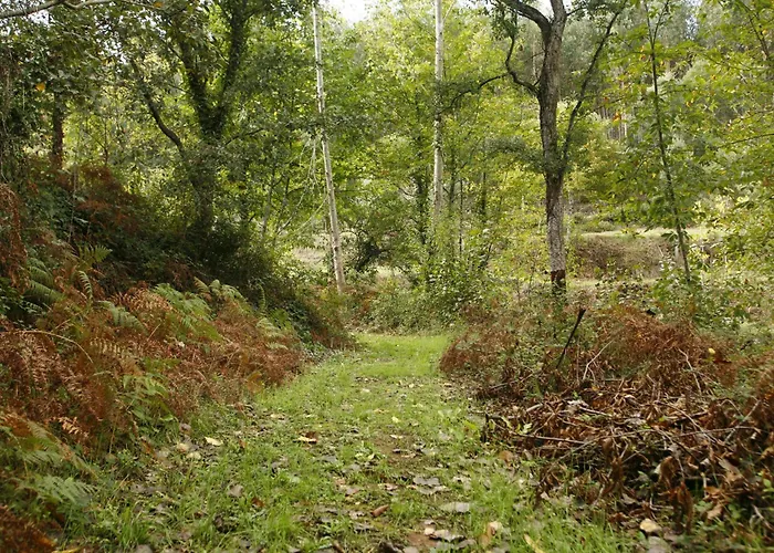 Vila Dos Castanheiros
