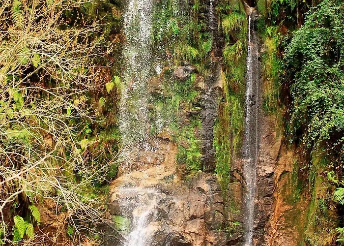 Vila: Casa Do Palheiro De Cima