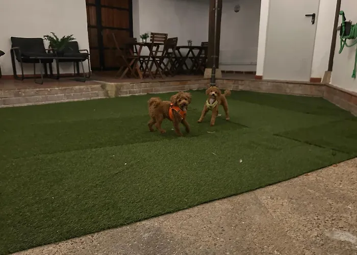 La Villa De Leo Y Lola