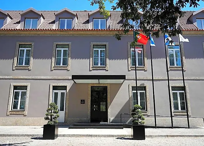  Lince Braga